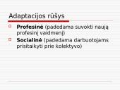 Personalo adaptacijos samprata 6 puslapis