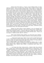 Ar galėjome šitiek pernešti? 2 puslapis