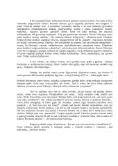 Ar galėjome šitiek pernešti? 3 puslapis