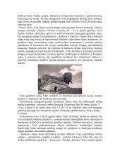 Devintas fortas (IX-asis fortas) 4 puslapis