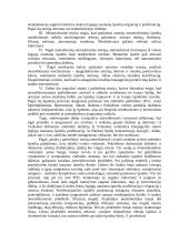 Lėtinis kraujagyslių pažeidimas. Aterosklerozė 2 puslapis