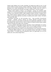 V. Franklis "Žmogus ieško prasmės" - analizė 2 puslapis