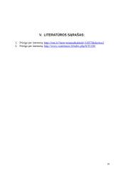 Administracinių bylų procesiniai terminai, išlaidos ir įrodymai 9 puslapis