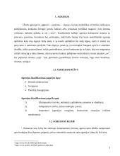 Agresyvūs vaikai 3 puslapis