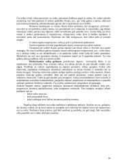Agresyvus elgesys 17 puslapis