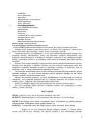 Agresyvus elgesys 10 puslapis