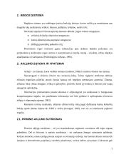 Aklųjų pažintinių funkcijų savitumai 3 puslapis