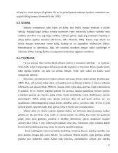 Aklųjų pažintinių funkcijų savitumai 6 puslapis