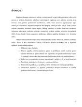 Aklųjų pažintinių funkcijų savitumai 9 puslapis