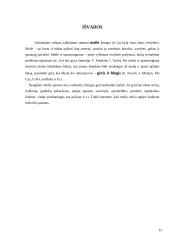 Altruizmas 13 puslapis