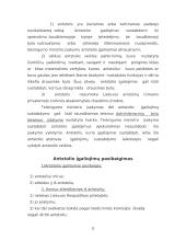 Antstoliai. Antstolio veiklos principai 11 puslapis