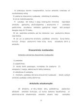 Antstoliai. Antstolio veiklos principai 12 puslapis