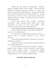 Antstoliai. Antstolio veiklos principai 5 puslapis