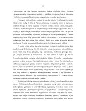 Aristotelio filosofinės sistemos bruožai 8 puslapis