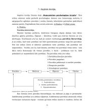 Asmenybės samprata ir formavimasis 13 puslapis