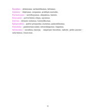 Asmenybės samprata ir formavimasis 17 puslapis