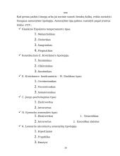 Asmenybės samprata ir formavimasis 18 puslapis