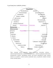 Asmenybės samprata ir formavimasis 9 puslapis
