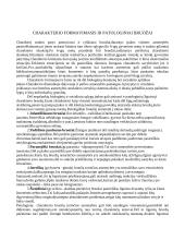 Asmenybė ir individualumas 19 puslapis