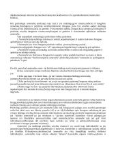 Asmenybė ir individualumas 4 puslapis