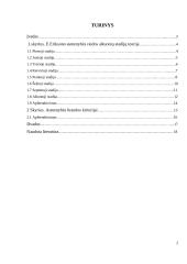 E. Eriksono asmenybės raidos aštuonių stadijų teorija ir asmenybės brandos kriterijai 2 puslapis
