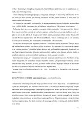 E. Eriksono asmenybės raidos aštuonių stadijų teorija ir asmenybės brandos kriterijai 11 puslapis