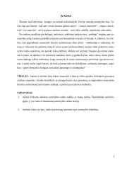 E. Eriksono asmenybės raidos aštuonių stadijų teorija ir asmenybės brandos kriterijai 3 puslapis