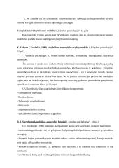 Asmenybės kūrybingumas ir vaizduotė 11 puslapis