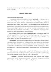 Asmenybės kūrybingumas ir vaizduotė 7 puslapis