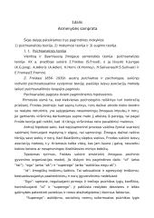 Asmenybės samprata 2 puslapis