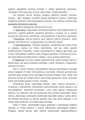 Asmenybės samprata 3 puslapis