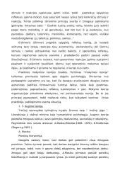 Asmenybės samprata 5 puslapis