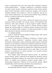 Asmenybės samprata 8 puslapis