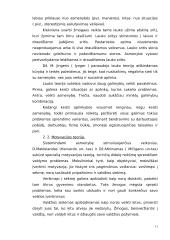 Asmenybės sampratos teorijos, faktoriai 11 puslapis