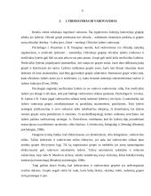 Asmenybės statusas ir vaidmuo žmonių grupėje 5 puslapis