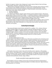 Asmenybės struktūra ir jos esminių parametrų charakteristika 4 puslapis