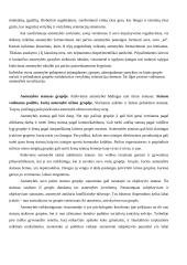Asmenybės tapsmas 6 puslapis