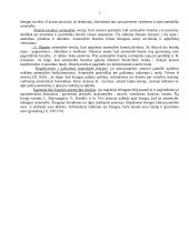 Asmenybės teorijų analizė 7 puslapis