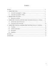 Asmenybės tipai. Bendravimo ypatumai 2 puslapis