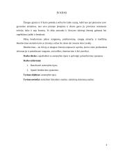 Asmenybės tipai. Bendravimo ypatumai 4 puslapis