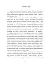 Atminties rūšys bei procesai 4 puslapis
