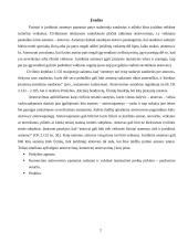 Atstovavimas 2 puslapis