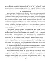 Atstovavimas 12 puslapis