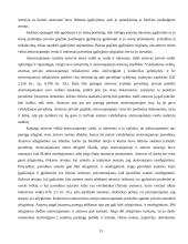 Atstovavimas 13 puslapis