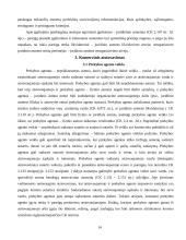 Atstovavimas 14 puslapis