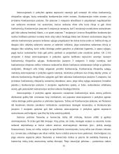 Atstovavimas 15 puslapis