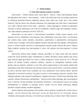 Atstovavimas 3 puslapis