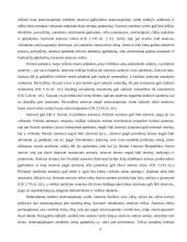 Atstovavimas 4 puslapis