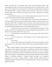 Atstovavimas 5 puslapis