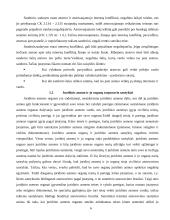 Atstovavimas 6 puslapis